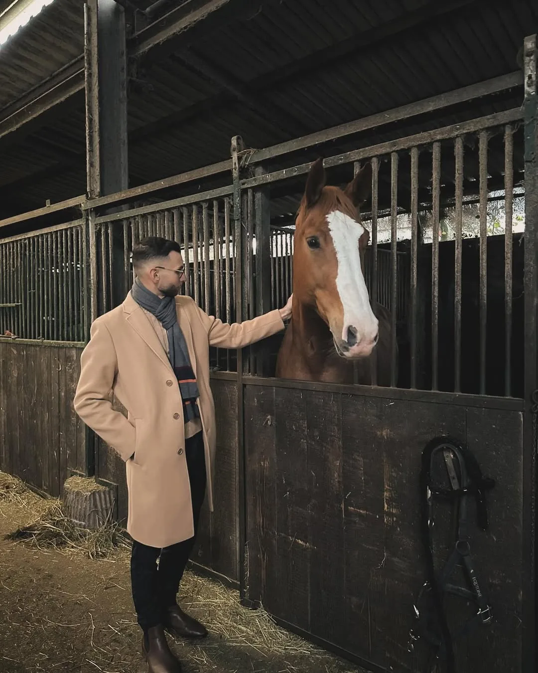 Albert mit Pferd seitlich — Persönlichkeit