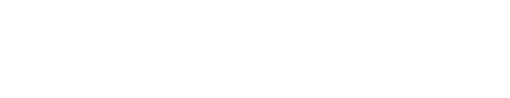 Albert Prediger — ecomconsultive